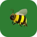BasketBee